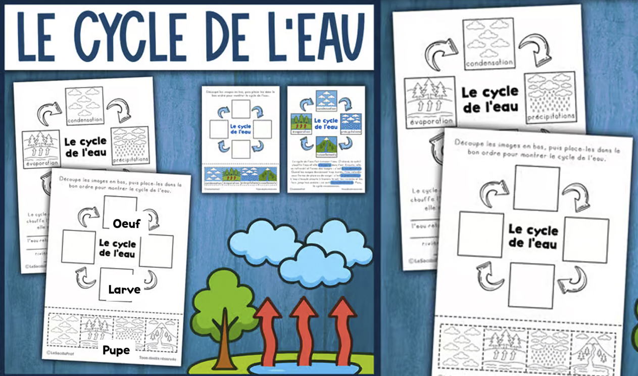 Activite Le Cycle de l'Eau